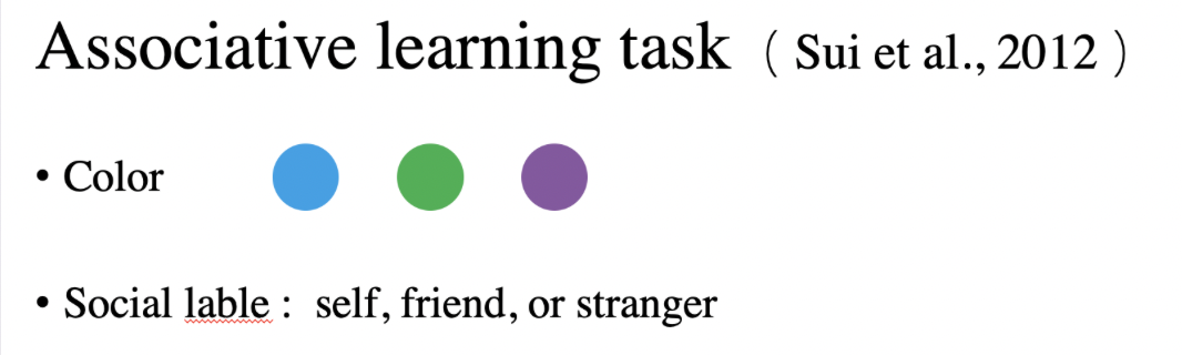Auditory Messages for IMA System project visual 2